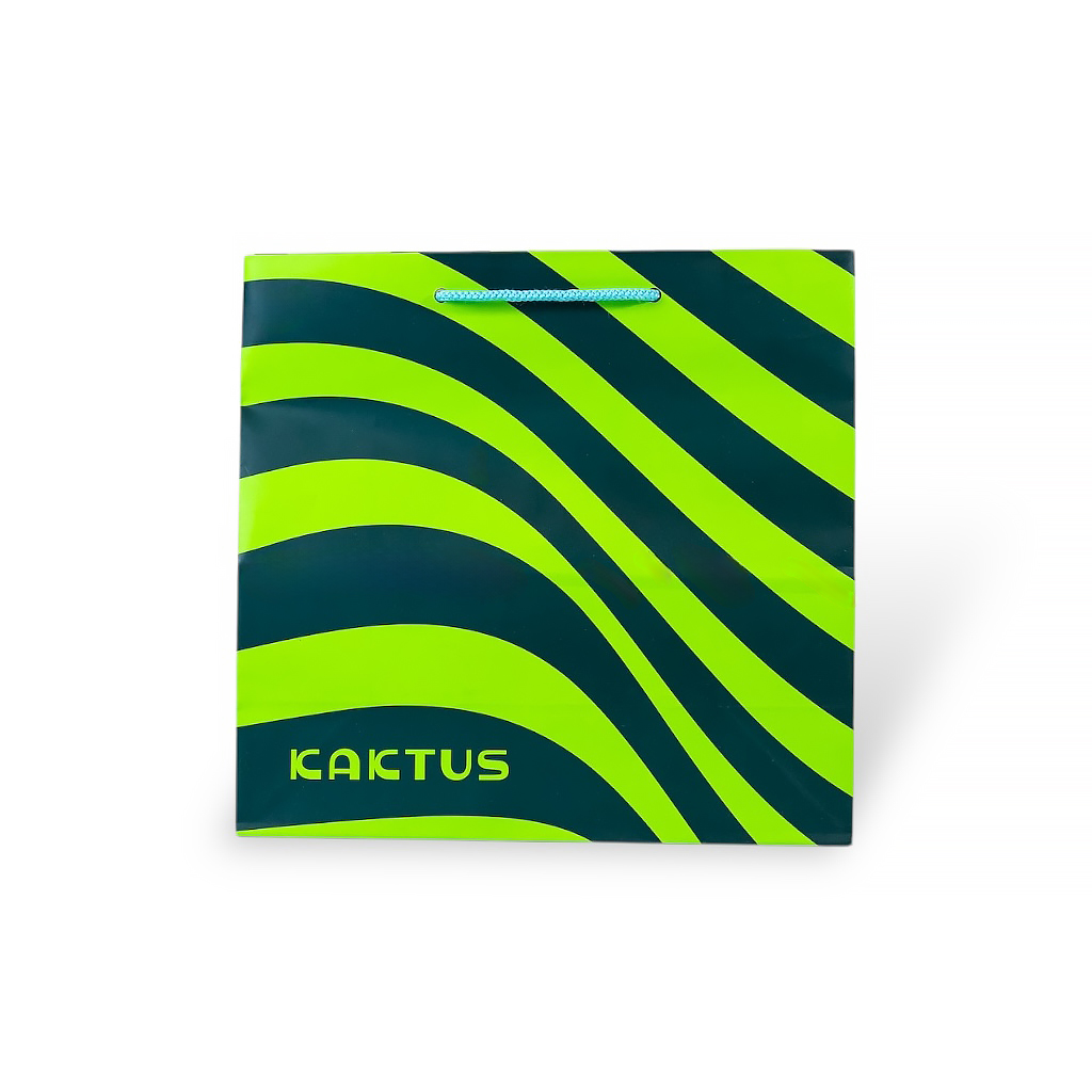 Пакет бумажный M (130г) 24х23х10см | Интернет-магазин Кактус