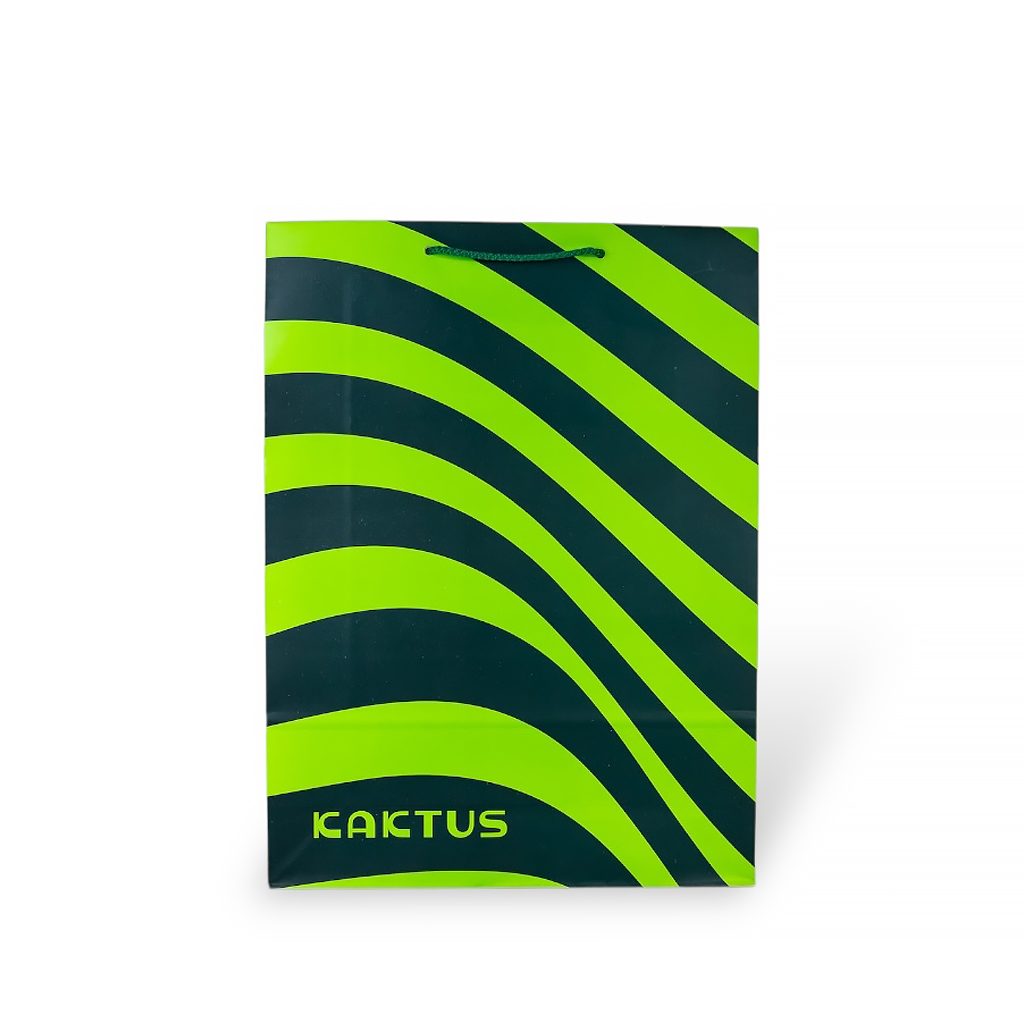 Пакет бумажный L (170г) 43х32х11см | Интернет-магазин Кактус