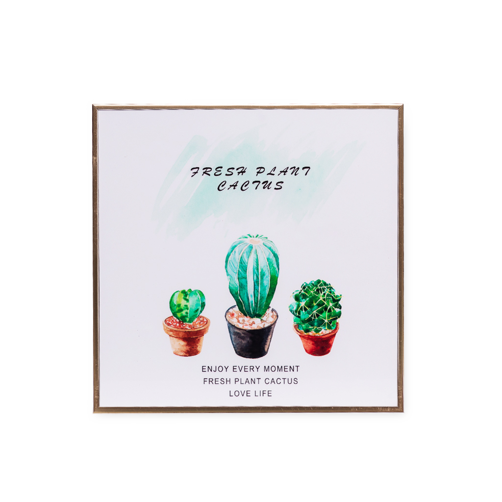 Картина в рамке три кактуса 21 * 21см | Интернет-магазин Кактус