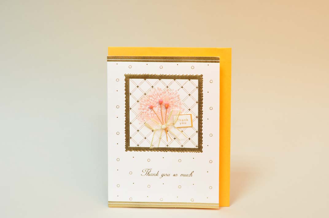 Открытка | Интернет-магазин Кактус