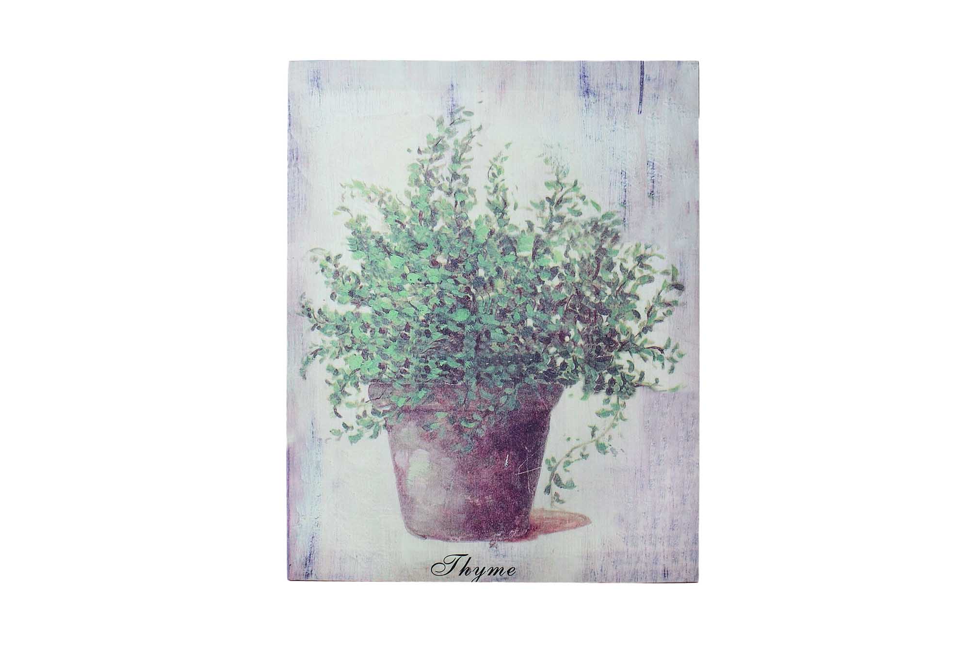 Пано Thyme (полотно.) 35*45см | Интернет-магазин Кактус