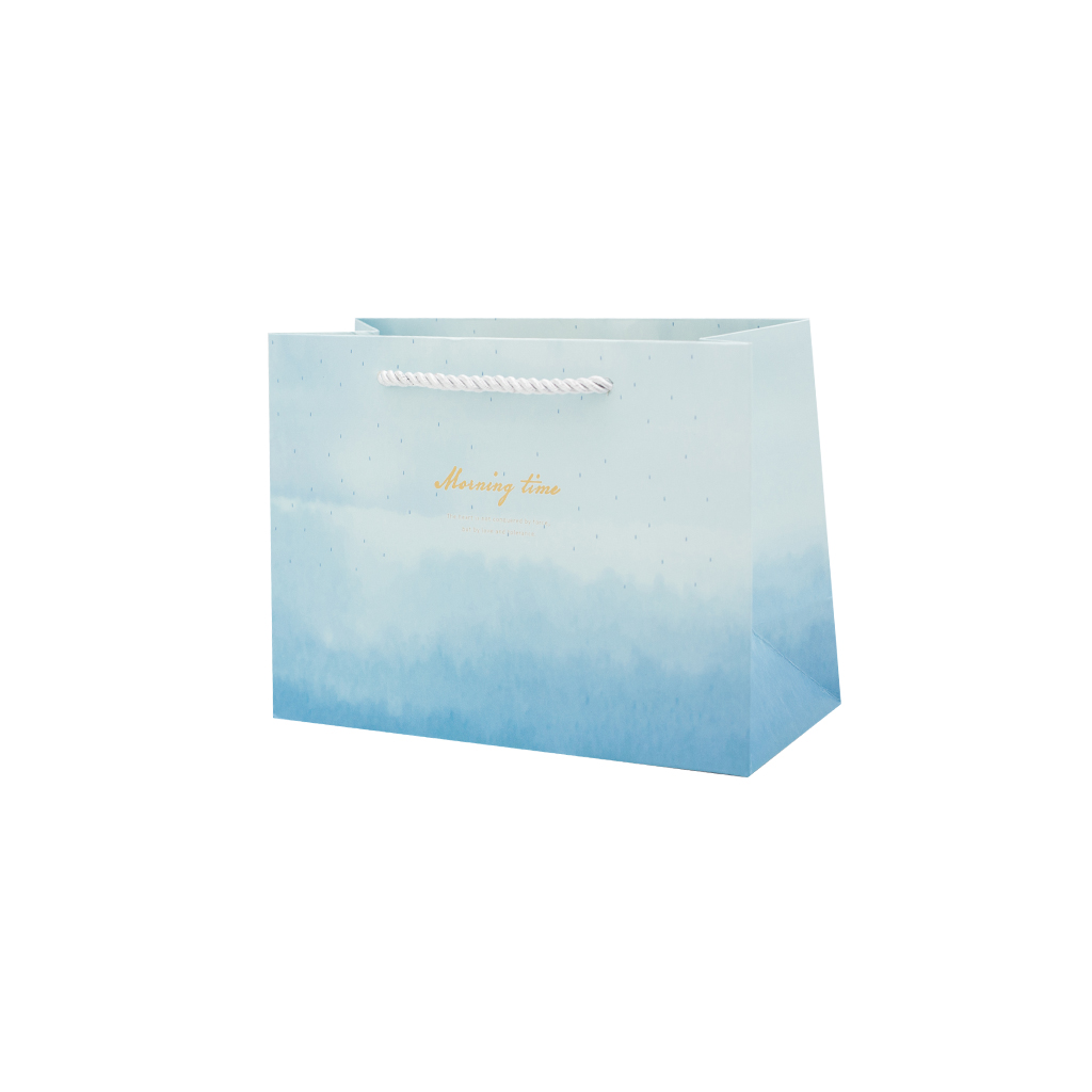 Пакет подарочный (2 вида) S 16.5*20.5*12см | Интернет-магазин Кактус