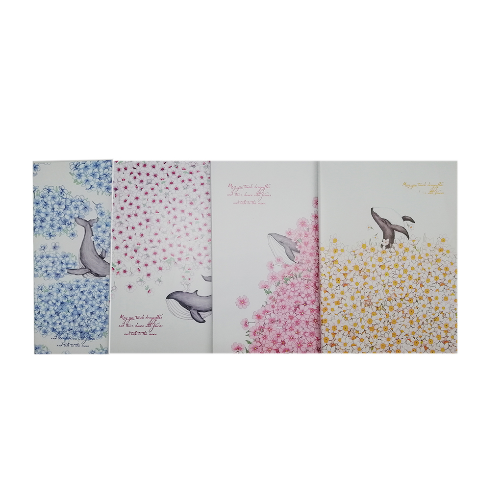 Зошит Кіті 4 види 21 * 295 см 64 аркуша | Интернет-магазин Кактус