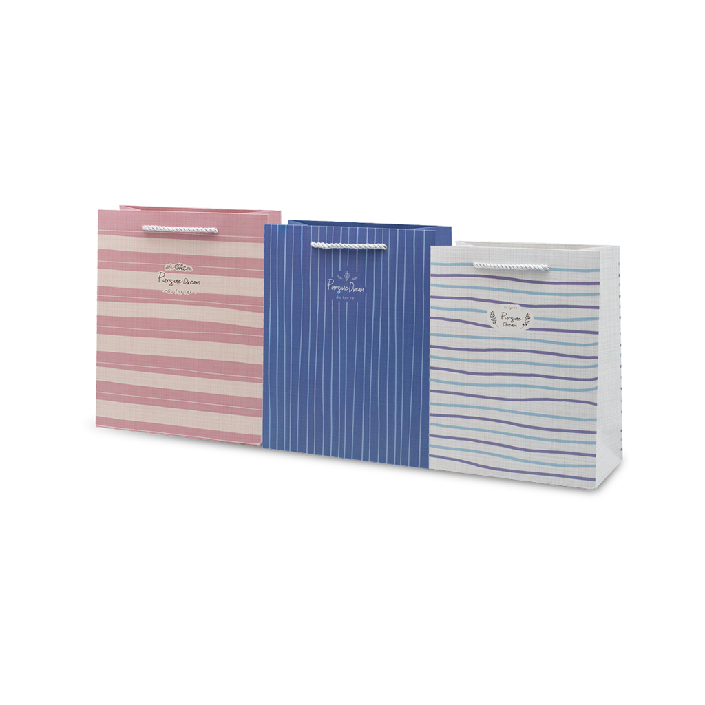 Пакет подарочный Pursue Dream 3 вида | Интернет-магазин Кактус