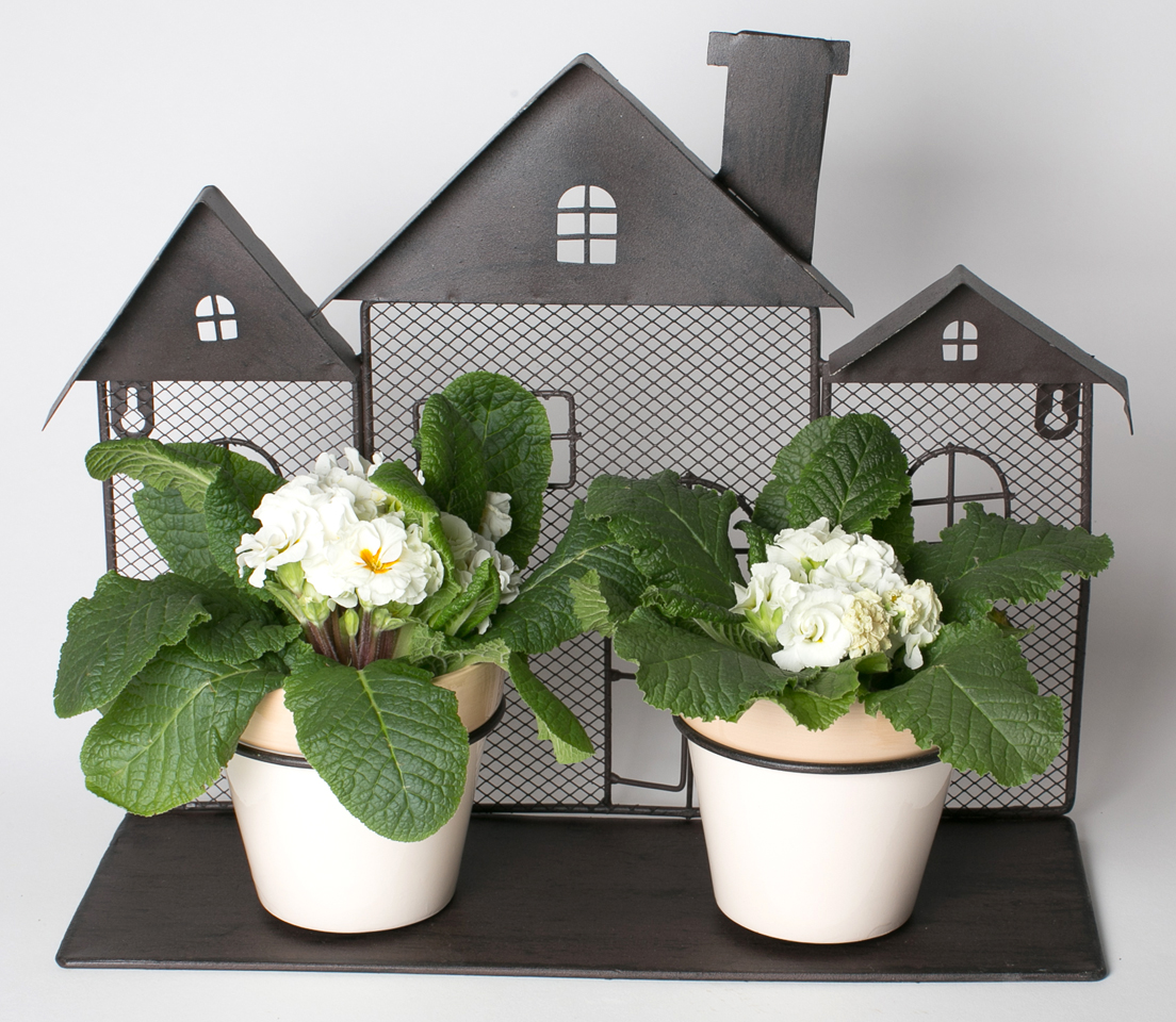 Будиночок метал з 2ма вазонами по 23см | Интернет-магазин Кактус