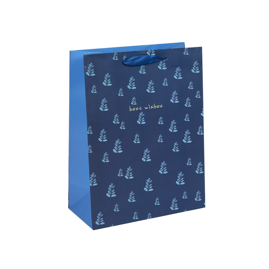 Пакет подарунковий Best Wishes син. L | Интернет-магазин Кактус