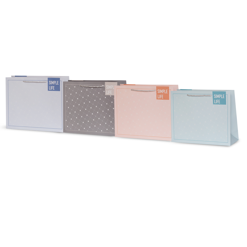 Пакет подарунковий L 4 види | Интернет-магазин Кактус