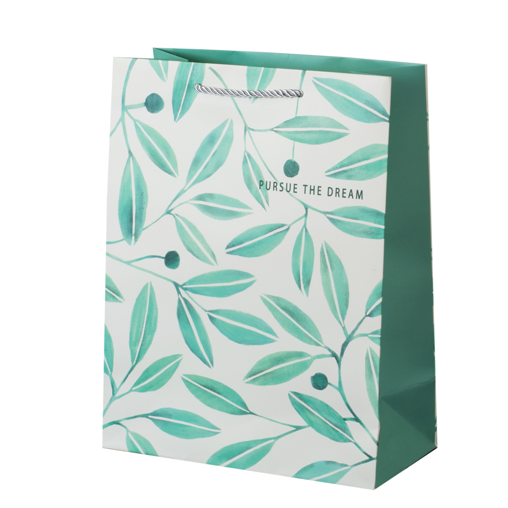 Пакет подарунковий M Dream (4 види) | Интернет-магазин Кактус