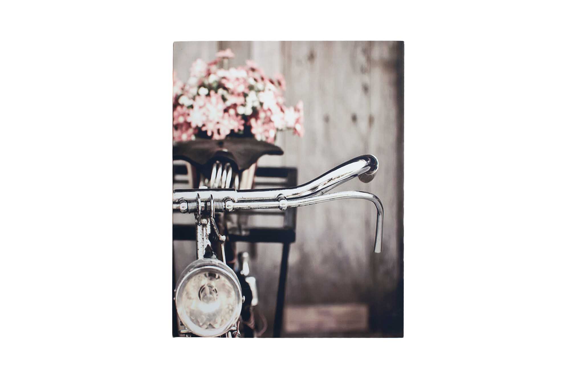 Пано Велосипед (полотно) 35*45см | Интернет-магазин Кактус