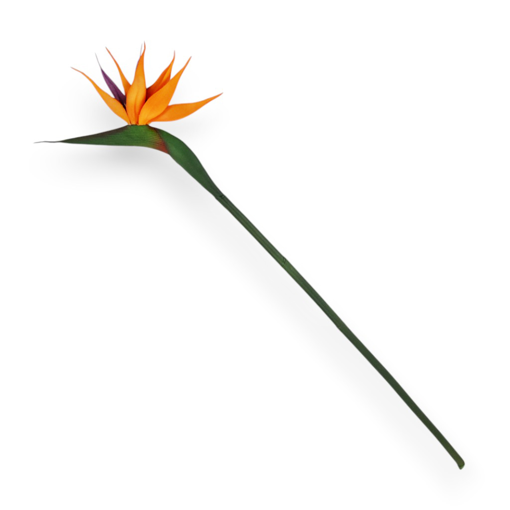 Цветок Стрелиция 82см | Интернет-магазин Кактус