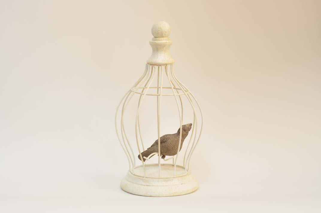 Пташка в клітці 17.5 * 17.5 * 32см | Интернет-магазин Кактус