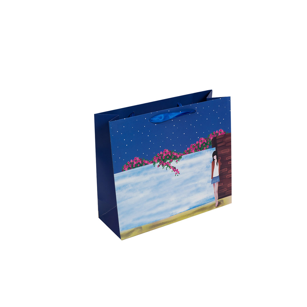 Пакет подарунковий Girl синій M | Интернет-магазин Кактус