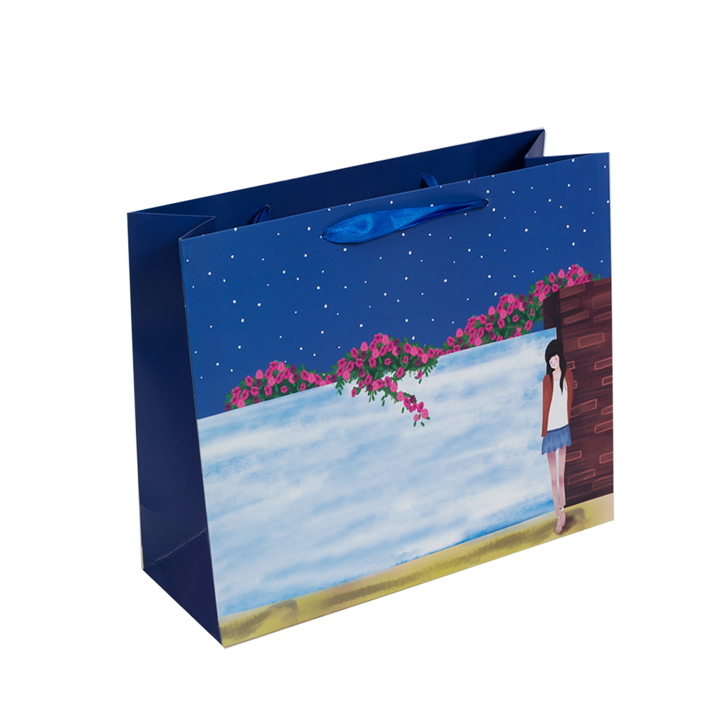 Пакет подарунковий Girl синій L | Интернет-магазин Кактус