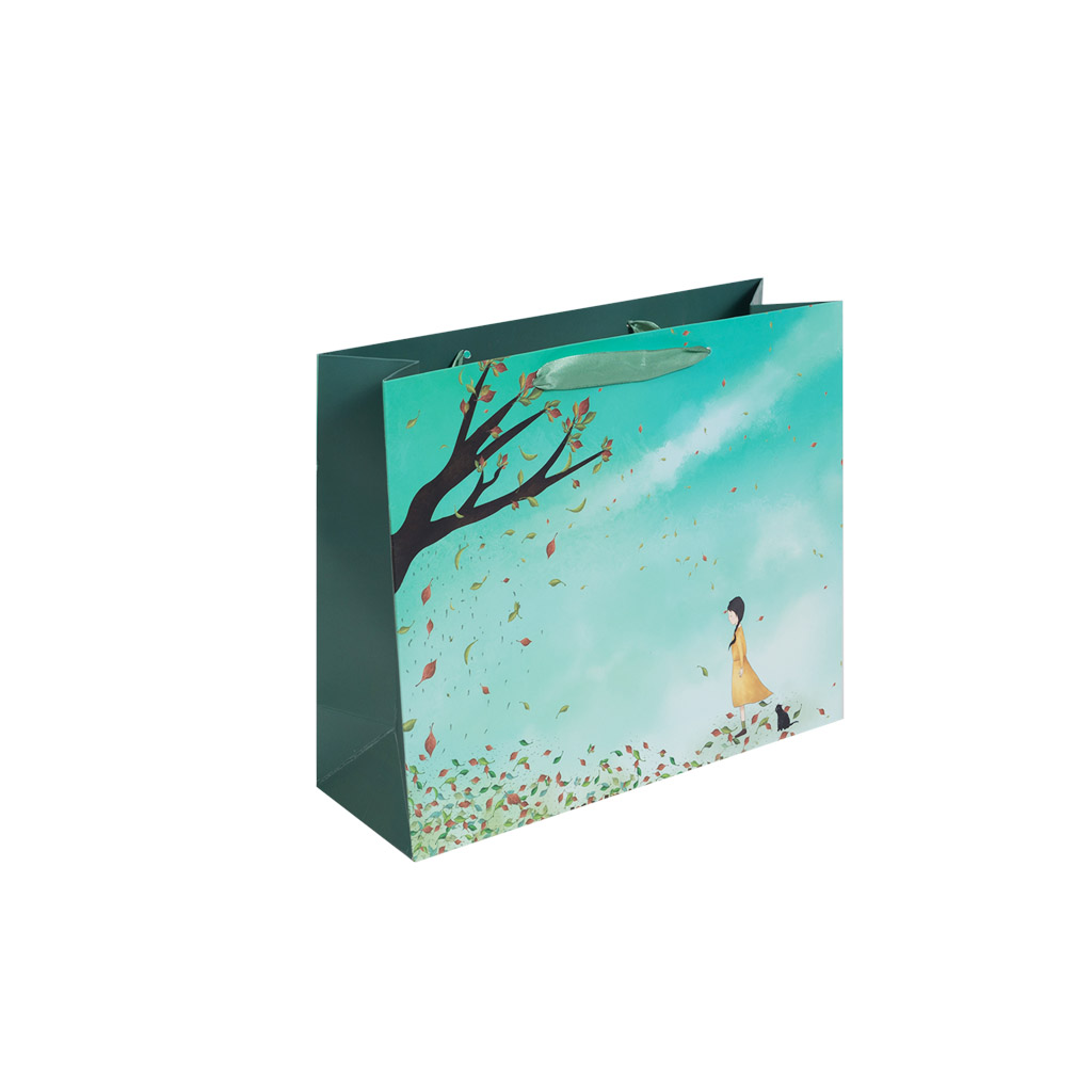 Кулек подарочный Girl зел. M | Интернет-магазин Кактус