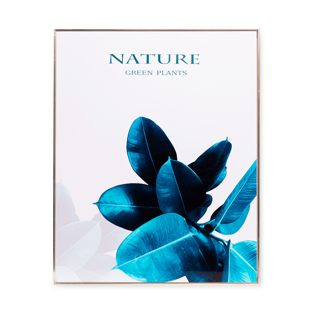 Картина в рамке Фикус зеленый 40 * 50см | Интернет-магазин Кактус