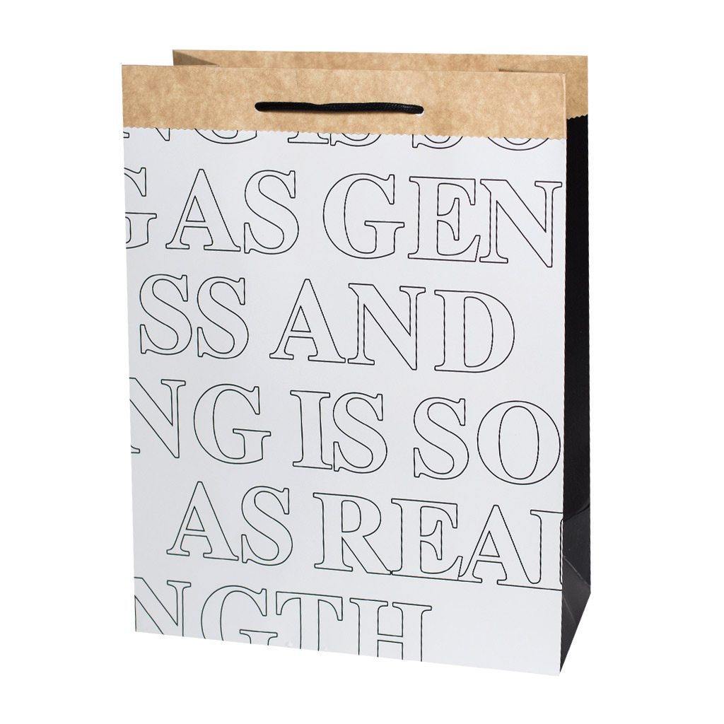 Пакет подарунковий L 29.8 * 29.8 * 12см | Интернет-магазин Кактус