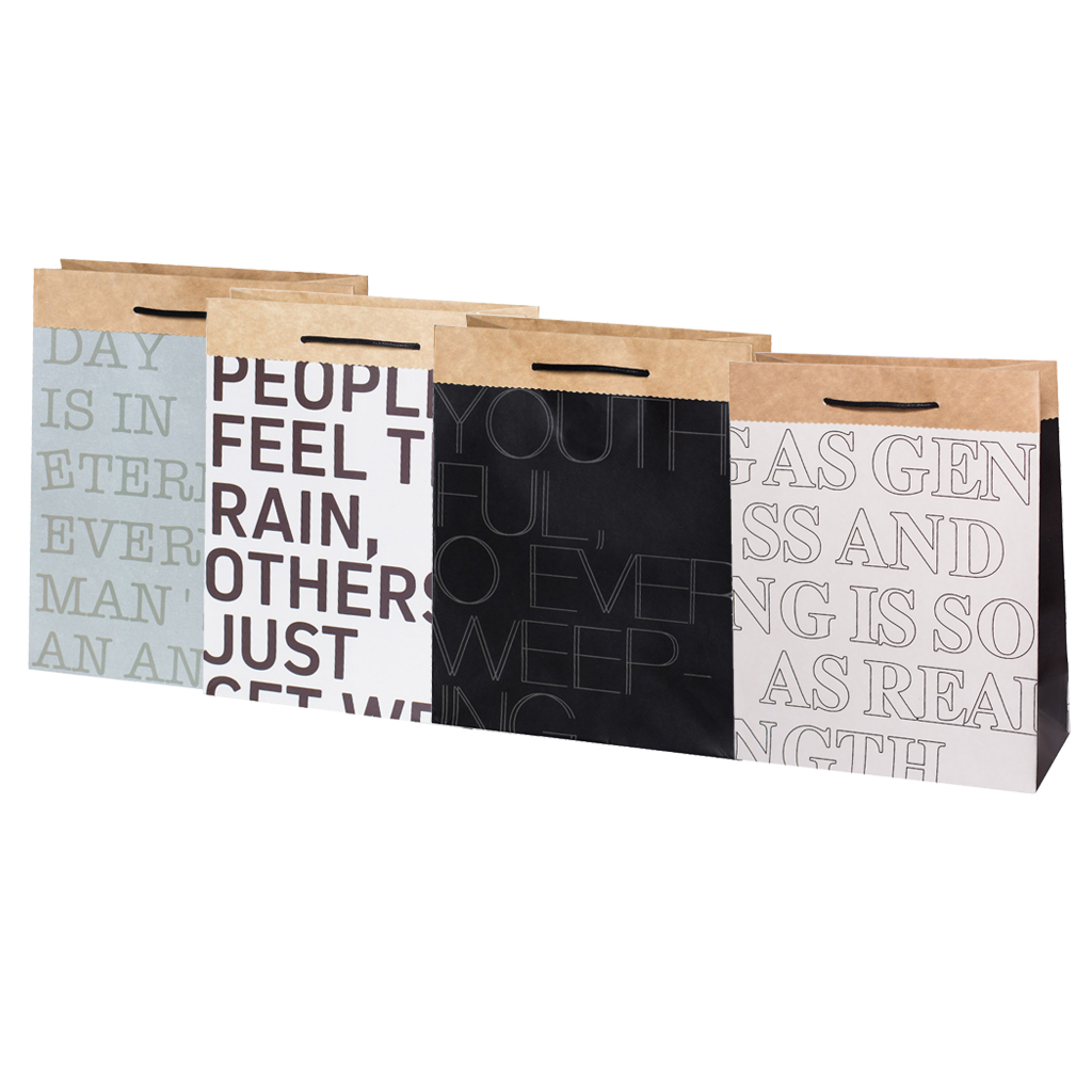 Пакет подарунковий M 19.6 * 24.5 * 8.8см | Интернет-магазин Кактус