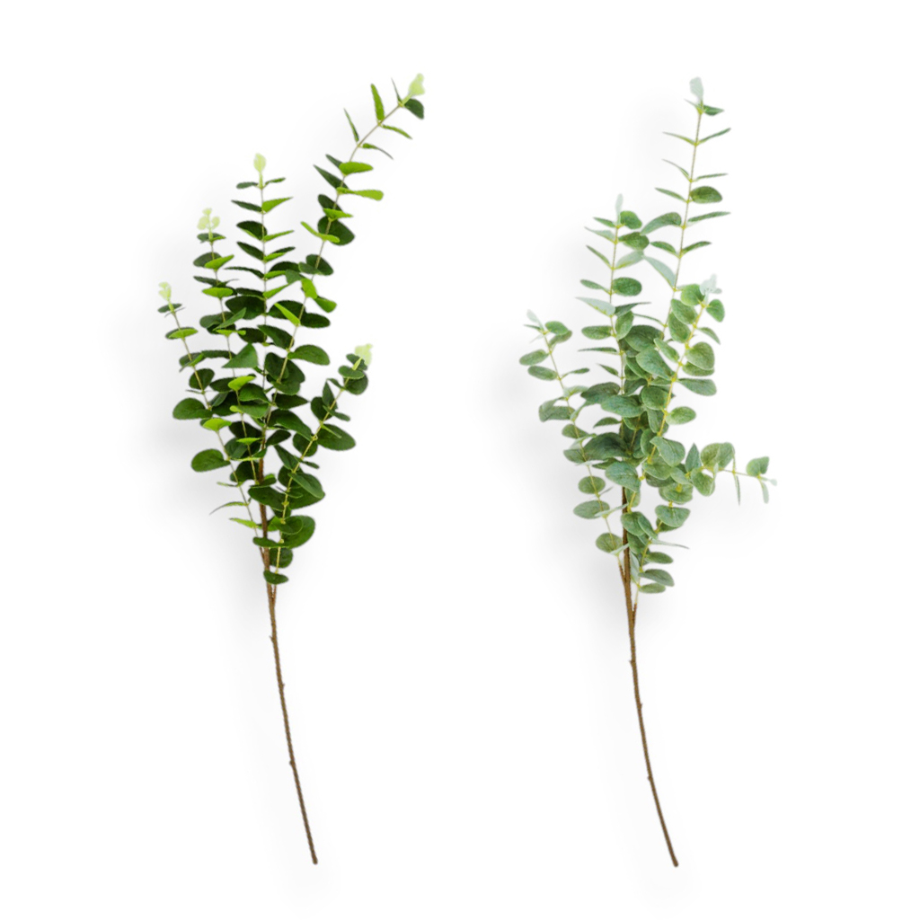 Ветка эвкалипт 95см 2 вида | Интернет-магазин Кактус