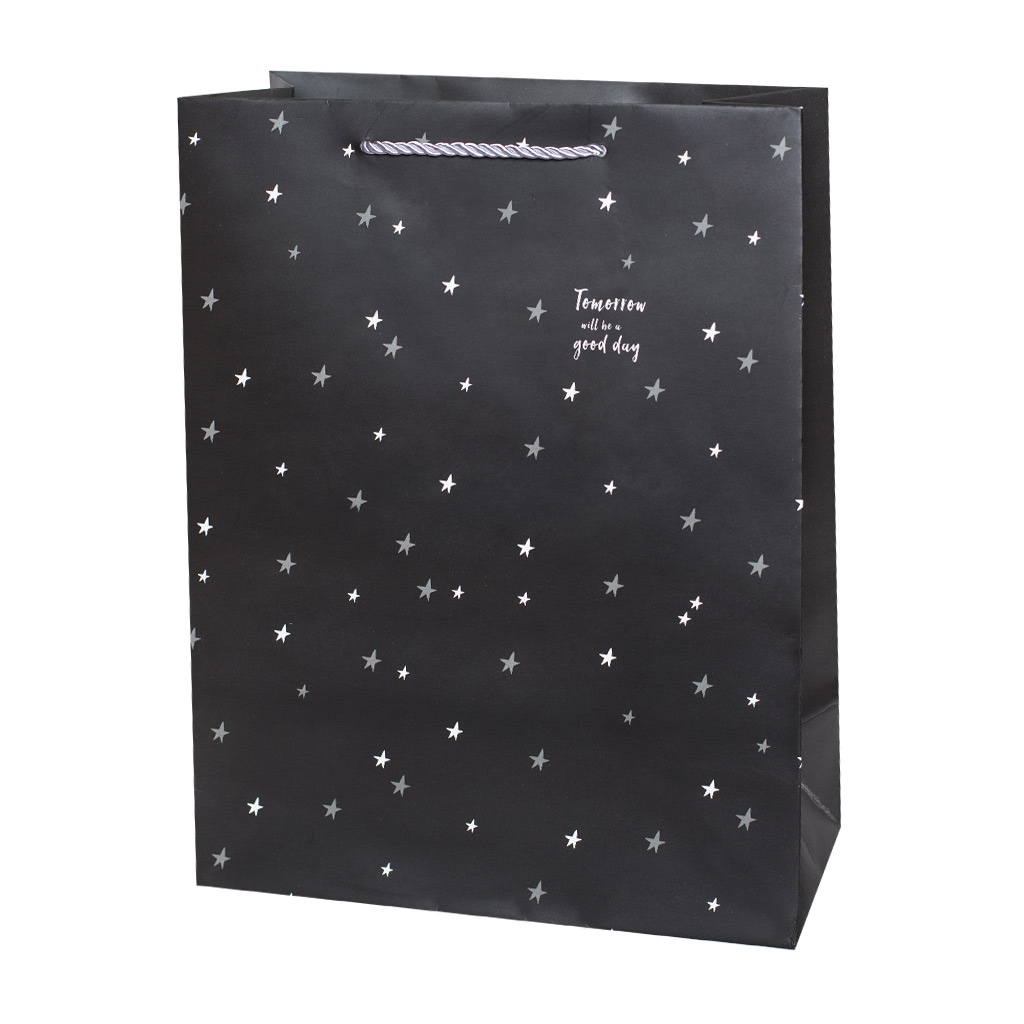 Пакет подарунковий L. Зірки (2 види) Н.Р | Интернет-магазин Кактус