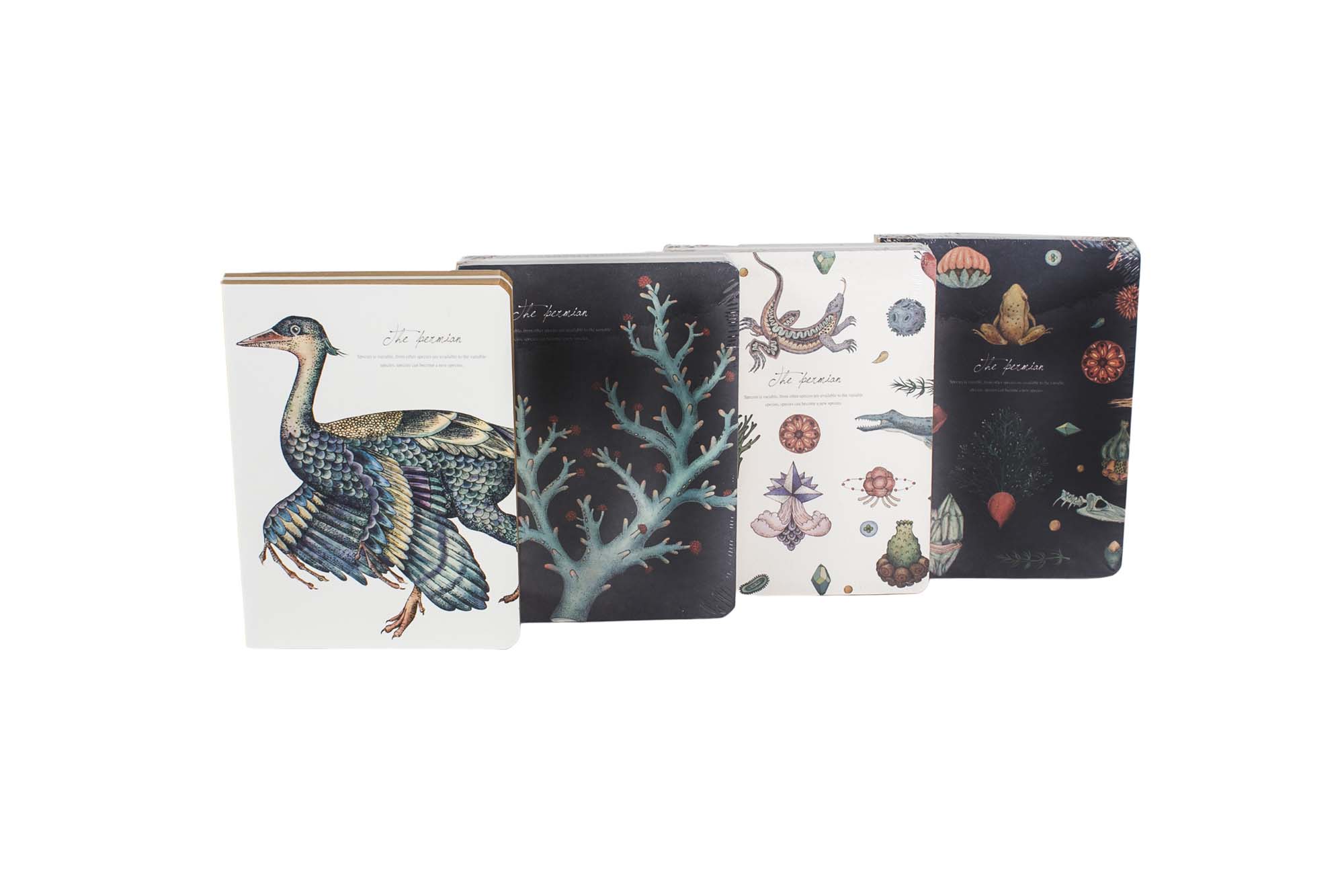 Блокнот Медузы 141*105mm (4 вида) | Интернет-магазин Кактус