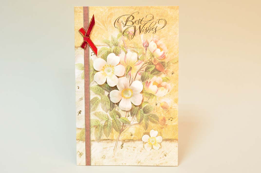 Открытка | Интернет-магазин Кактус