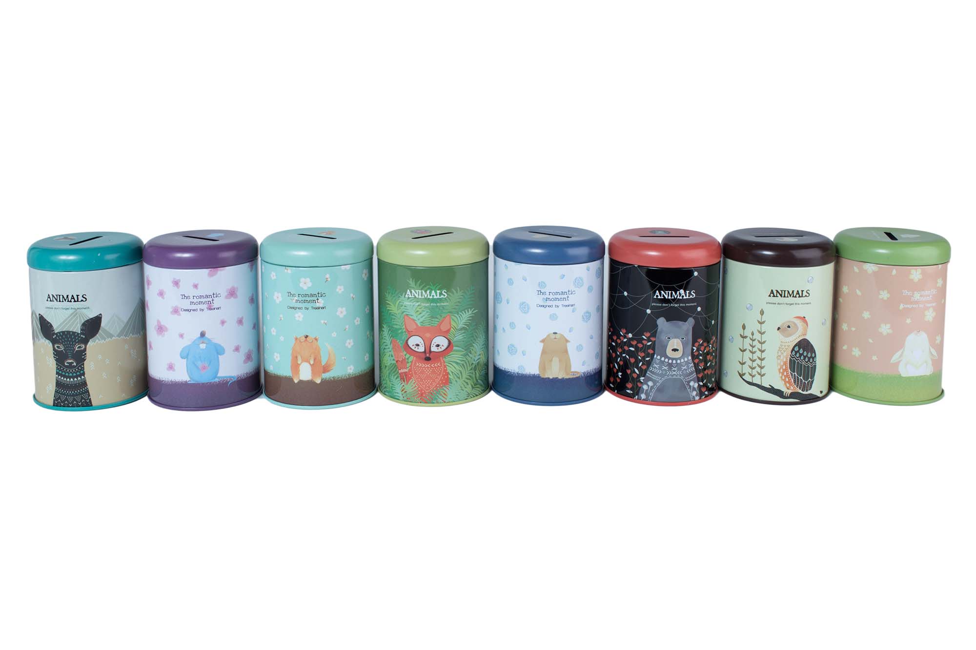 Скарбничка (Animals) 4 види | Интернет-магазин Кактус