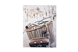 Пано Велосипед (полотно) 35*45см