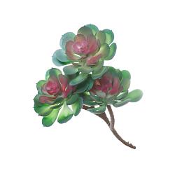 Квітка штучна Сукулент Еоніум на гілці 16см 3шт 