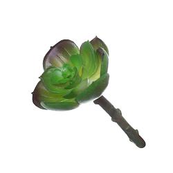 Квітка штучна Сукулент Еоніум зелений S 10х6см